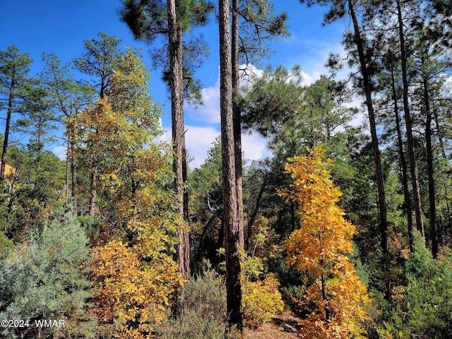 view of nature with a wooded view