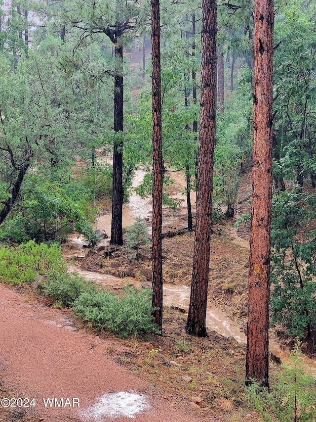 view of landscape with a forest view