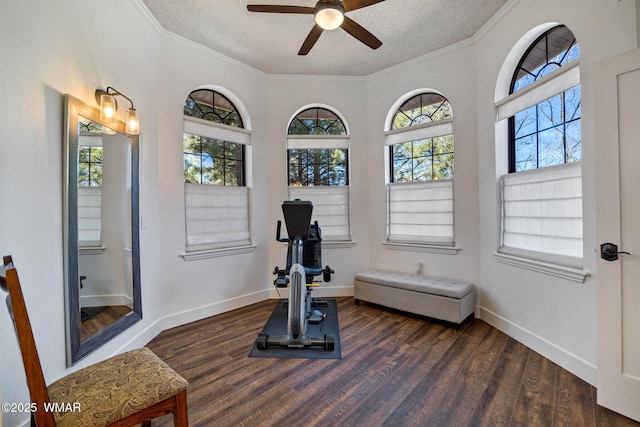 exercise area featuring baseboards, dark wood-style flooring, and crown molding