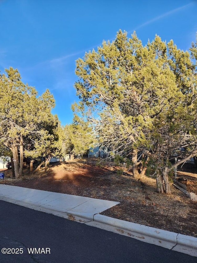 Listing photo 3 for 961 S 9th Dr, Show Low AZ 85901