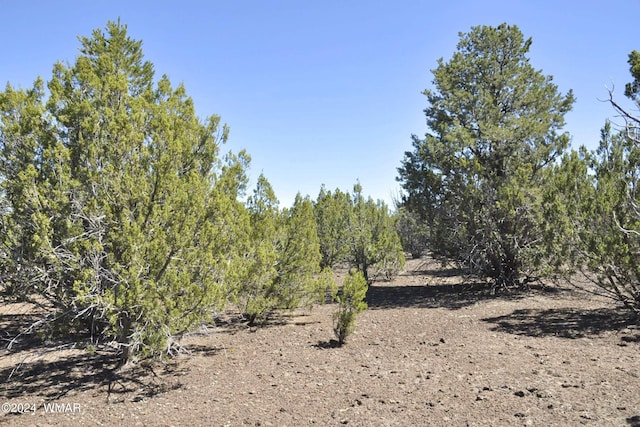 Listing photo 2 for 1243 Kb Ranch Rd, Show Low AZ 85901