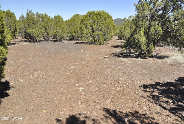 1243 Kb Ranch Rd, Show Low AZ, 85901 land for sale