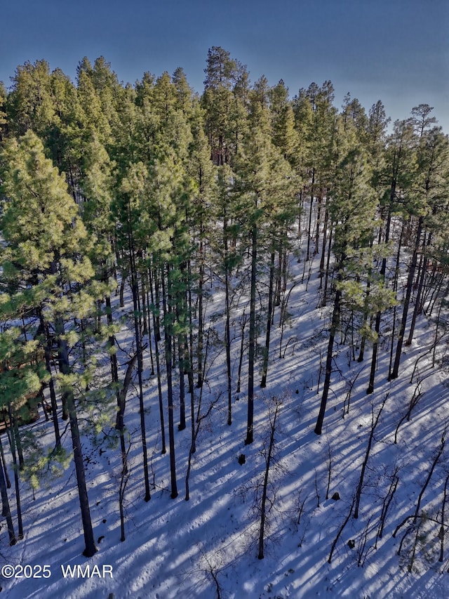 Listing photo 2 for 6319 Bent Oak Dr, Pinetop AZ 85935