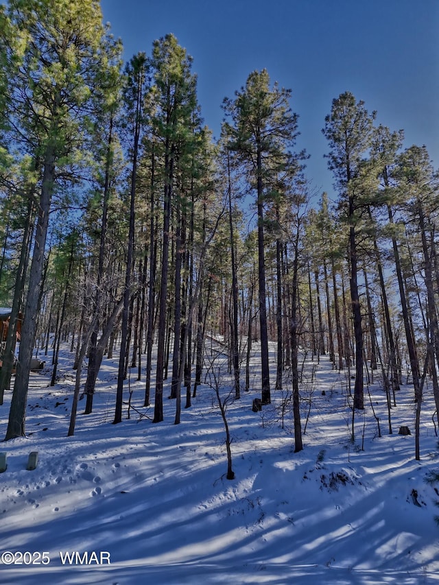 6319 Bent Oak Dr, Pinetop AZ, 85935 land for sale