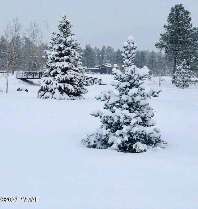 view of yard layered in snow