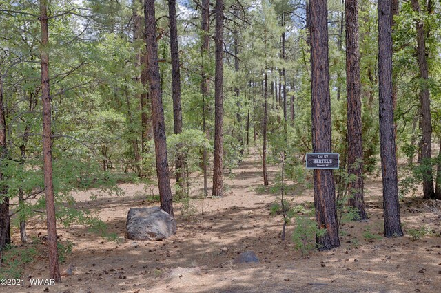 57 E Vista Ln, Pinetop, AZ 85935 - photo 2