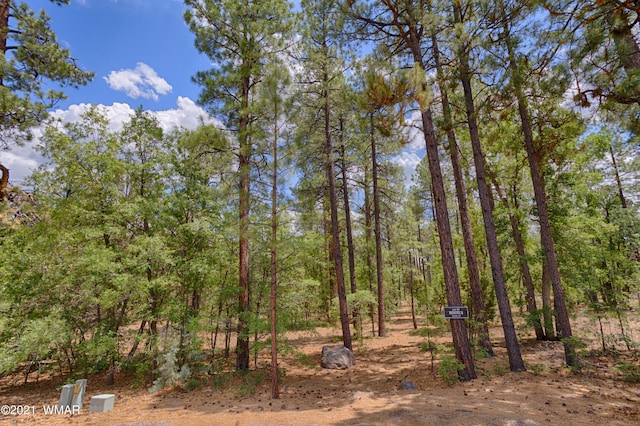 57 E Vista Ln, Pinetop AZ, 85935 land for sale