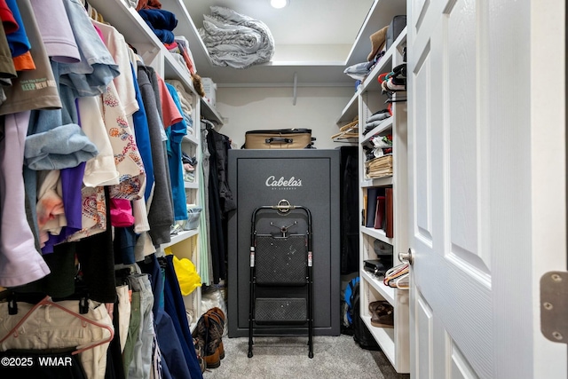 spacious closet with carpet floors
