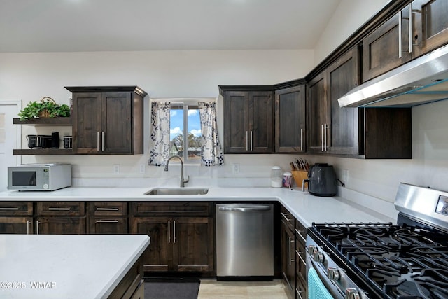 kitchen with dark brown cabinets, under cabinet range hood, light countertops, a sink, and stainless steel appliances