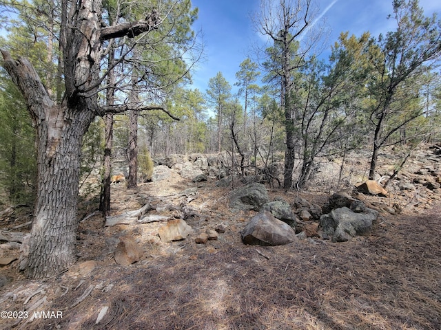 Listing photo 2 for TBD Zola Rd, Lakeside AZ 85929