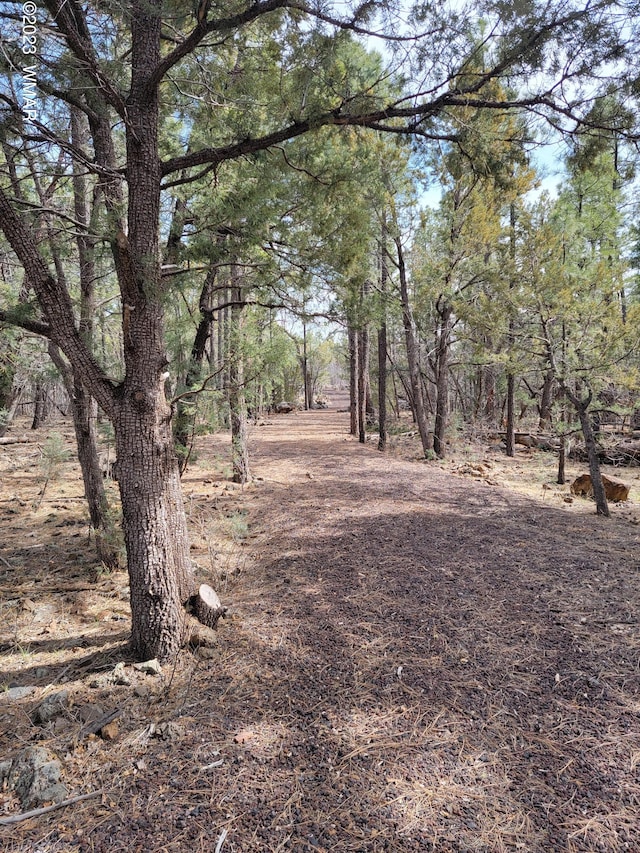 TBD Zola Rd, Lakeside AZ, 85929 land for sale