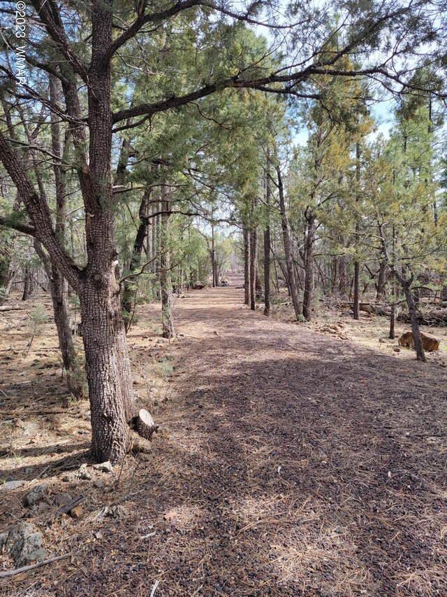 TBD Zola Rd, Lakeside, AZ 85929 - photo 1