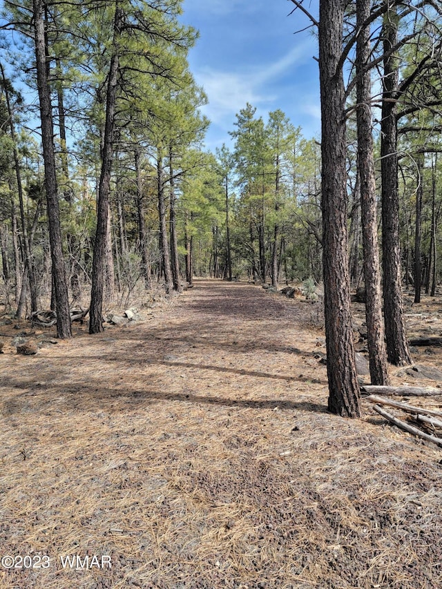 Listing photo 3 for TBD Zola Rd, Lakeside AZ 85929