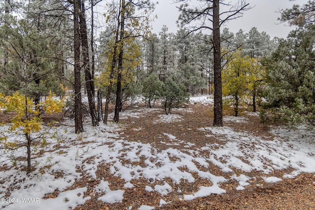 4383 S 24th St, Show Low, AZ 85901