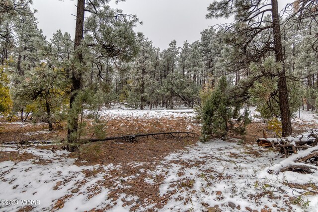 4383 S 24th St, Show Low, AZ 85901