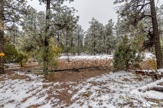 4383 S 24th St, Show Low, AZ 85901
