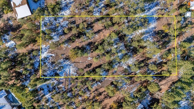 4383 S 24th St, Show Low, AZ 85901