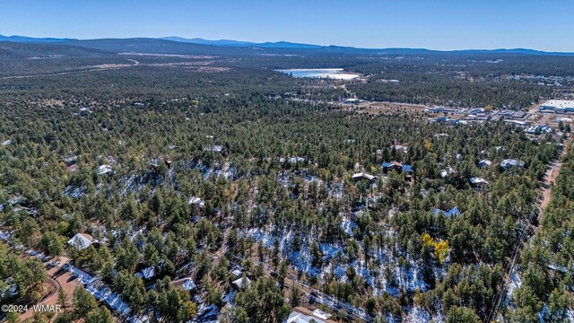4383 S 24th St, Show Low, AZ 85901