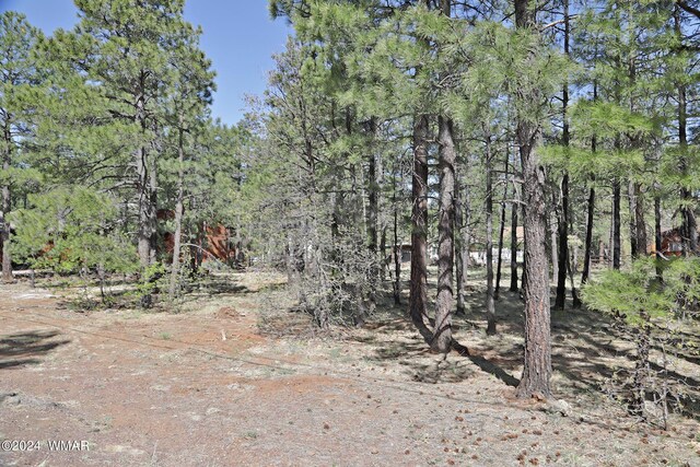 7466 Buck Springs Rd, Pinetop, AZ 85935