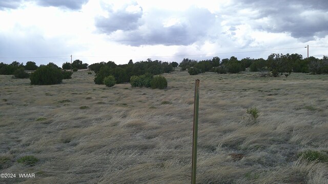 24 County Road 8009, Concho, AZ 85924 - photo 10