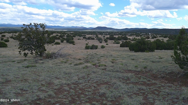 24 County Road 8009, Concho, AZ 85924 - photo 6