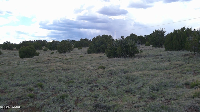 24 County Road 8009, Concho, AZ 85924 - photo 8