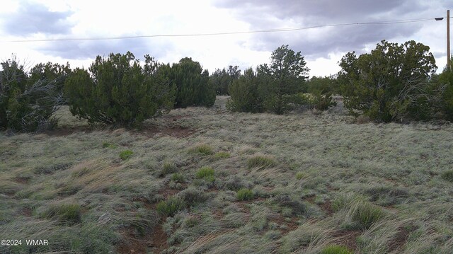 24 County Road 8009, Concho, AZ 85924 - photo 7