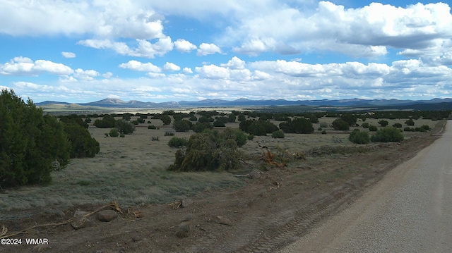 24 County Road 8009, Concho, AZ 85924 - photo 14