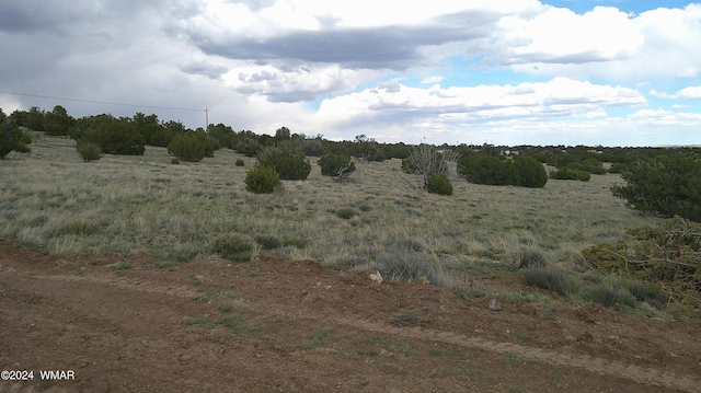 24 County Road 8009, Concho, AZ 85924 - photo 15