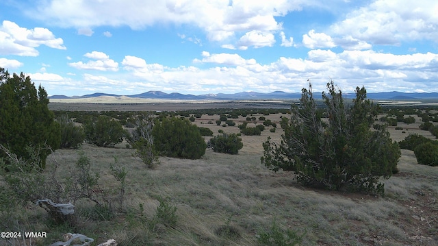 24 County Road 8009, Concho, AZ 85924 - photo 5