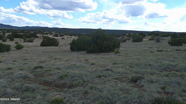 24 County Road 8009, Concho, AZ 85924 - photo 9