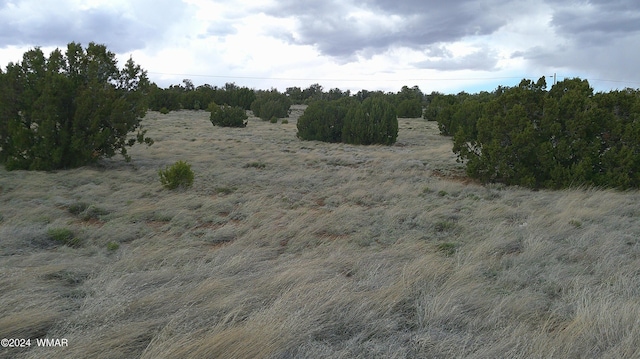 24 County Road 8009, Concho, AZ 85924 - photo 13