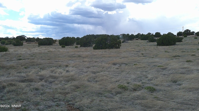 24 County Road 8009, Concho, AZ 85924 - photo 11