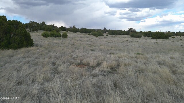 24 County Road 8009, Concho, AZ 85924 - photo 12