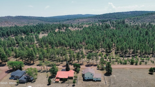 540 Rim Dr, Pinedale, AZ 85934 - photo 33
