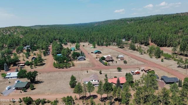 540 Rim Dr, Pinedale, AZ 85934 - photo 29