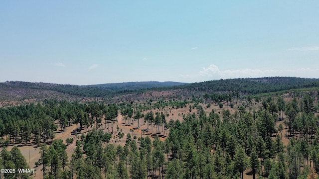 540 Rim Dr, Pinedale, AZ 85934 - photo 31