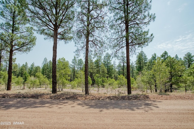 540 Rim Dr, Pinedale, AZ 85934 - photo 22