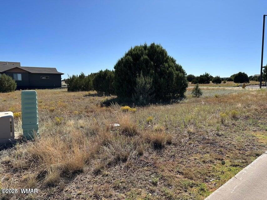 1161 S Lorenzo Sitgreaves Drive 1B Lot 84, Show Low, AZ 85901