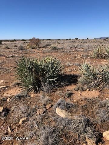 LOT663 Chevelon Canyon Rnch, Heber AZ, 85928 land for sale