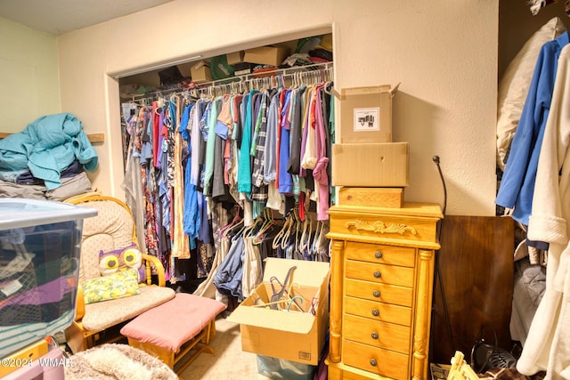 view of spacious closet