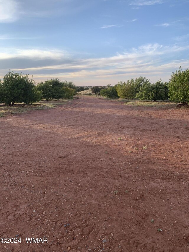 view of nature with a rural view