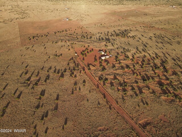 drone / aerial view featuring a desert view