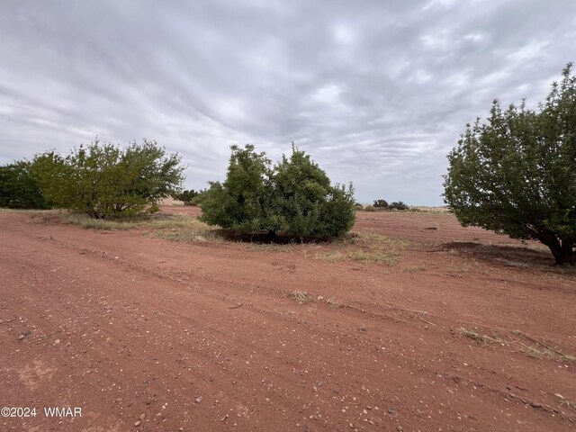 view of local wilderness featuring a rural view