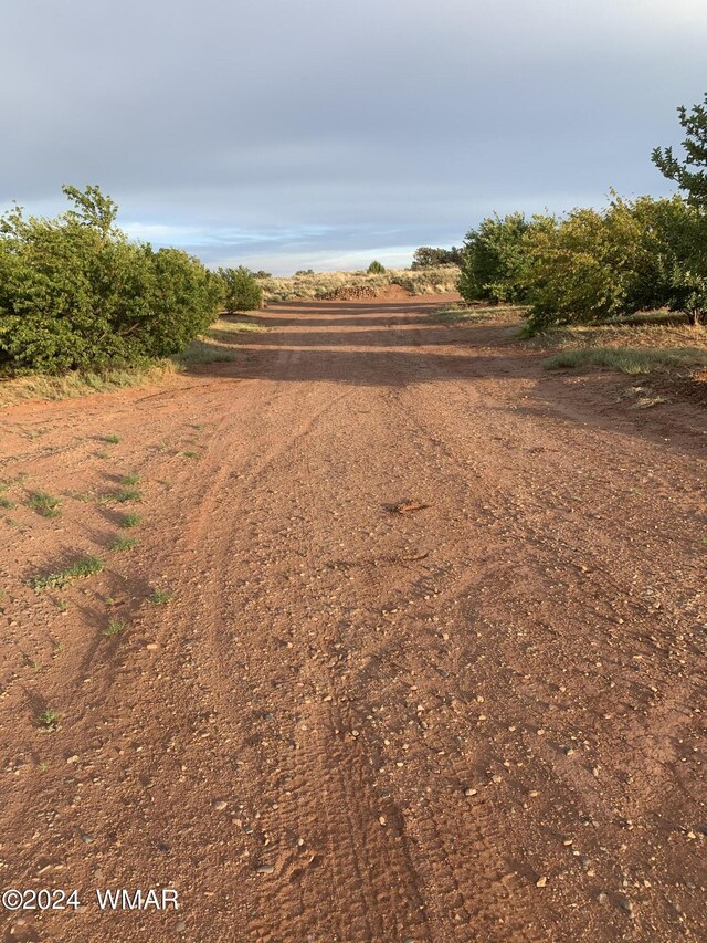 view of yard with a rural view