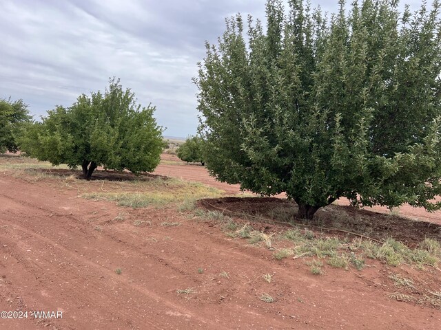 view of nature featuring a rural view