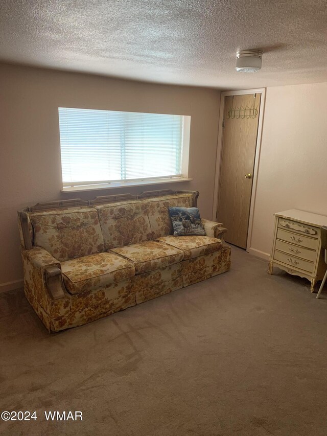 living room featuring a textured ceiling and carpet flooring