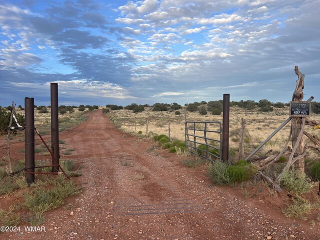 view of street featuring a gate, a gated entry, and a rural view