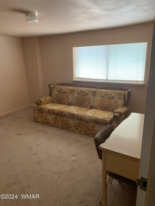 living room with a textured ceiling and carpet flooring