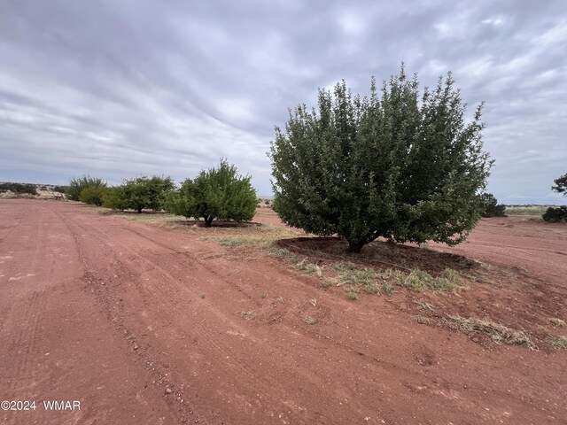 view of road featuring a rural view